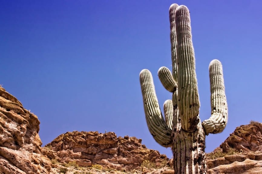 Unveiling the Treasures of the Desert: Best Hikes in Tucson