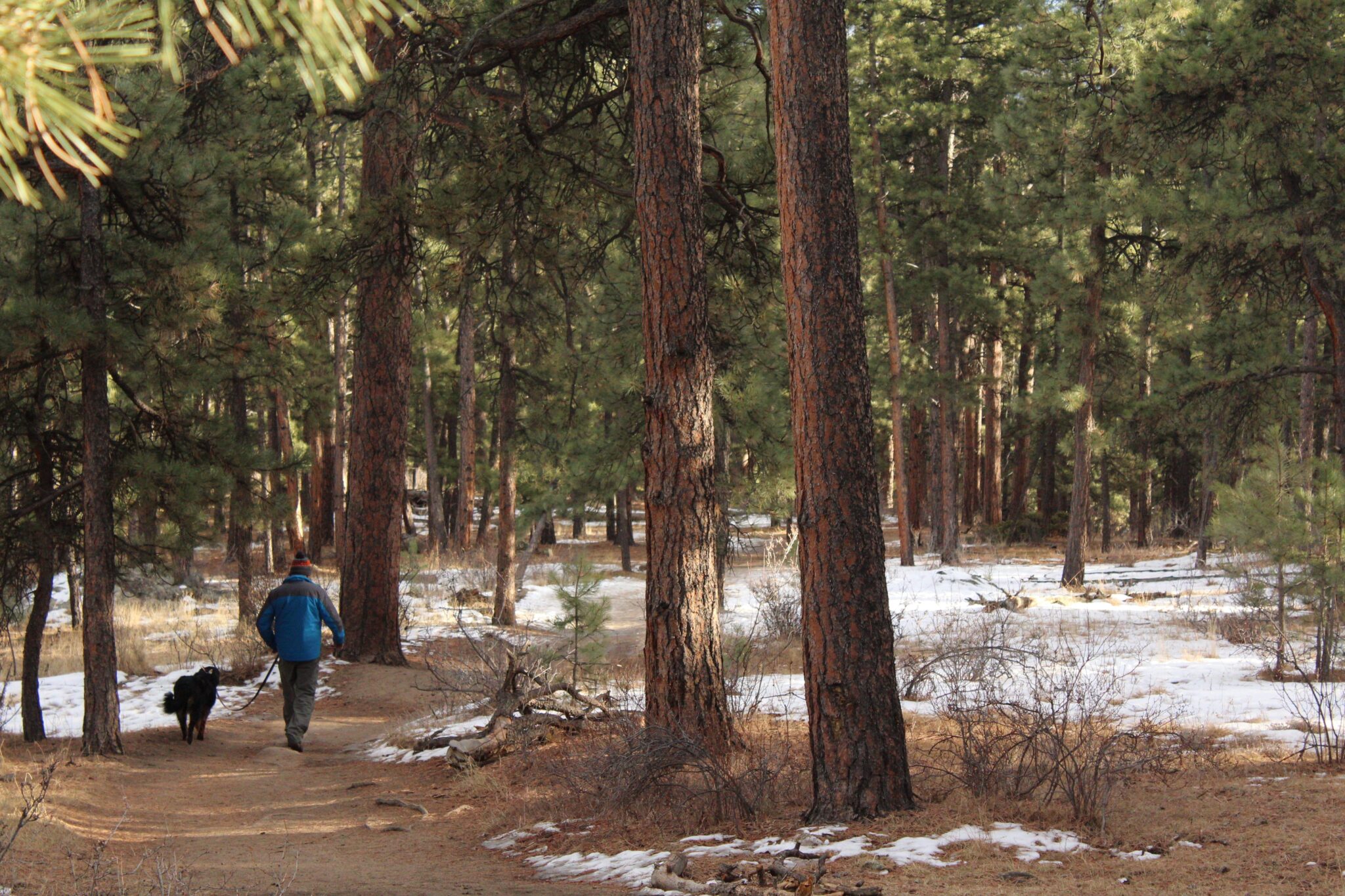 The Best Hikes in Denver: A Comprehensive Guide to Nature’s Playground